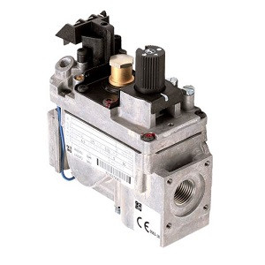 LOTUS-30100014-GAS VALVE